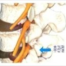 정림한의원 이미지