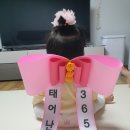 댕이맘마 이미지