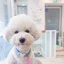 하은동물병원 이미지