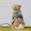 리쉬 | 강아지 하네스 추천 뮤니쿤트 트렉테일 핸즈프리 리쉬 후기