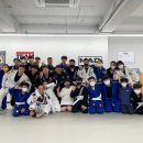 팀 매드 이미지