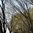 압구정피티 잘하는곳: 전강사 물리치료사 출신 피지오스튜디오 23회차
