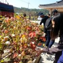 광명북중학교 이미지