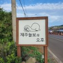 제주늘보의오후 이미지