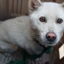 어곡터널로 이미지