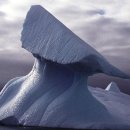 파인골프스쿨 이미지