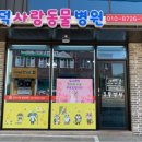 영덕사랑동물병원 이미지