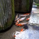 모산조형미술관 이미지