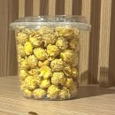 파나마모텔 | 나트랑 시내 가성비호텔로 유명한 버고호텔 바퀴벌레 나온 사연 및 대처 후기