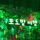 영동와인터널 와인레스토랑 Daum카페