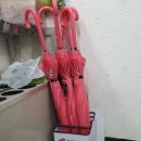 옥천 목욕탕 이미지