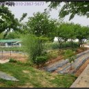 옥정보건진료소 이미지