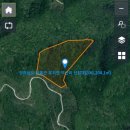 유치면사무소 이미지