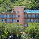 늘푸른찬 이미지