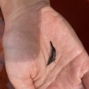 율이네농장 이미지