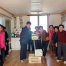 화순불미나리 아시아경제