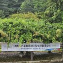 에코리더양성과정 | [수료] 기후환경리더 양성과정 5기 종강식 후기