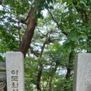 도리사로 이미지