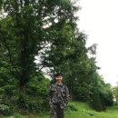 보니하니 이미지