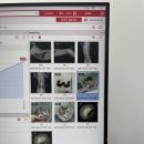 곰곰동물병원 이미지