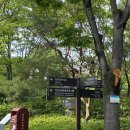 GS25덕진공원점 이미지