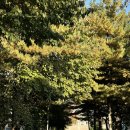 카페르블랑천안두정점 이미지