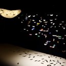 춘천문화예술회관 이미지