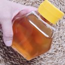하진농원 | 🍯 천연꿀 찾는다면? 백화산벌꿀농원의 자연숙성꿀, 한 번 먹고 달라진 이유