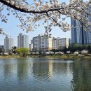 청수호수공원 이미지