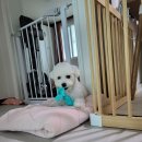 레인 켄넬 이미지