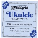 우크&기타 이미지