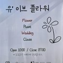 유이브