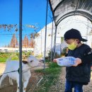 양우농장 이미지