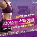 커브스 매탄클럽 네이버블로그