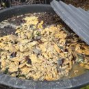 논향농장 이미지