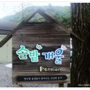 솔밭개울 이미지