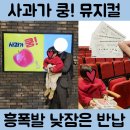 문화한바퀴(동구의고무신) | [대구 신세계 문화홀] 23개월 아기와 ‘사과가 쿵’ 뮤지컬 관람 후기