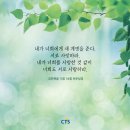 [CTS 말씀이미지] 요한복음 13장 34절 #말씀이미지 #감경철 #CTS #핸드폰배경화면 이미지