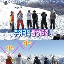 이삐(ibbi) | 캐시미어 코트 추천 :: 메비 mehvie 마레코트 솔직후기