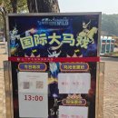 상하이(상해) | 상해여행 상하이 야생동물원 서커스 후기 예매 꿀팁