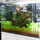 물속풍경수족관 이미지