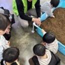 북서울꿈의숲(상상톡톡미술관) | 2025 북서울꿈의숲 상상톡톡미술관 곤충체험전 솔직후기