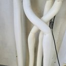 석사부영 이미지