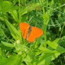 경기둘레길 이천37코스 이미지