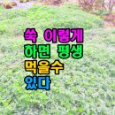 평생먹을