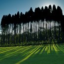 동경골프연습장 이미지