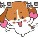에이비씨케어솔루션