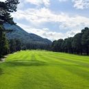 현충원로(유성-18) 이미지