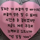 얼천이에게💖 이미지