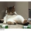 쪼끼쪼끼 - 4680 | 쪼끼쪼끼